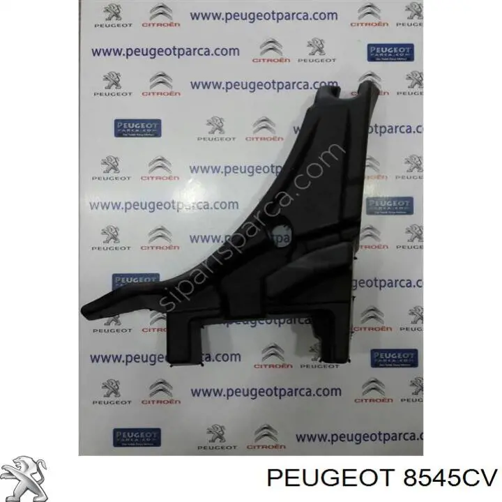 Comprar PG3201414 Prasco Moldura de puerta delantera izquierda