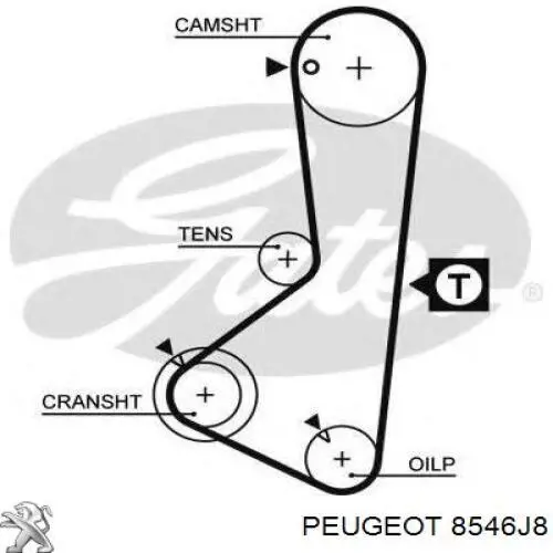 Comprar 0925405 VAN Wezel 