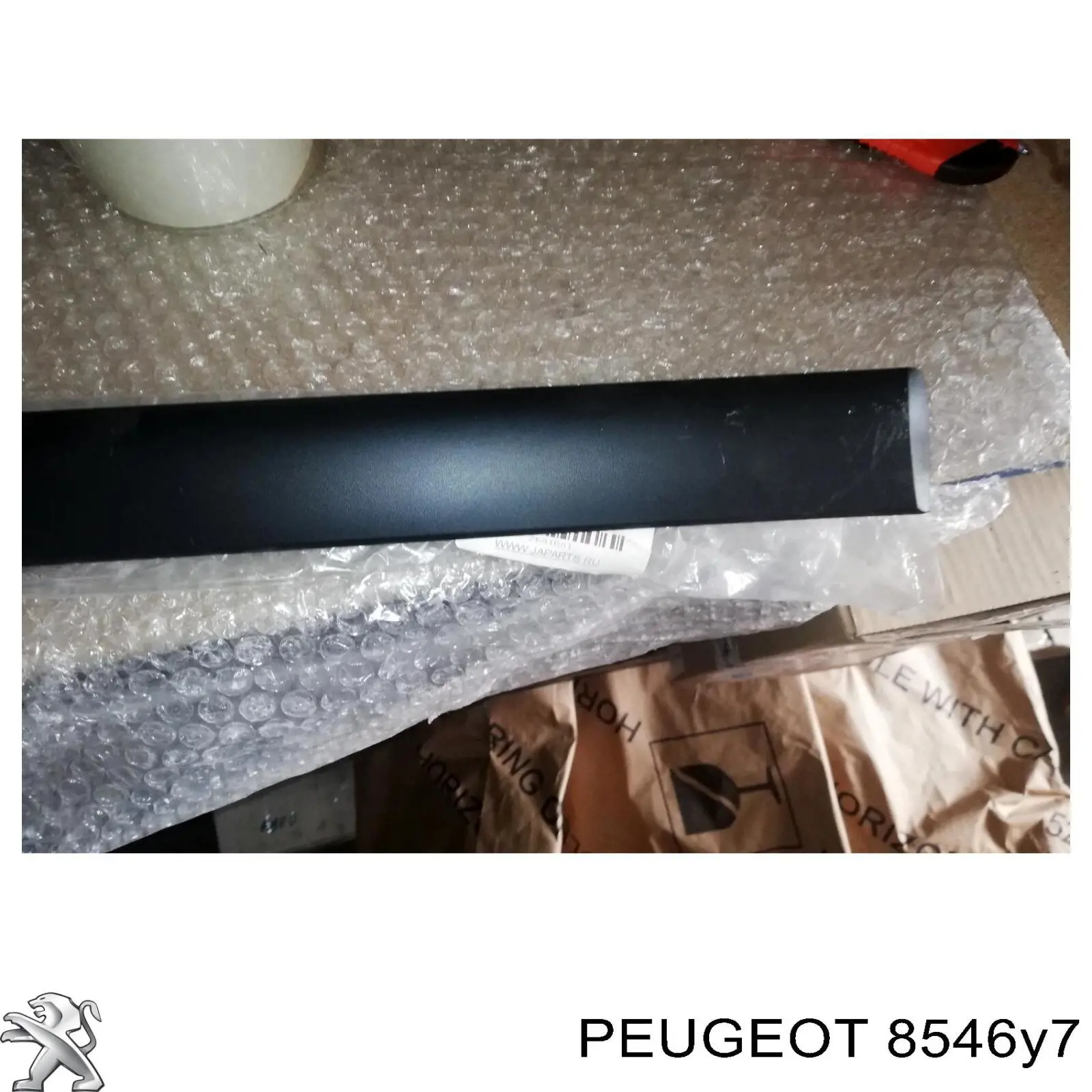 Moldura de la puerta trasera derecha PEUGEOT 8546Y7