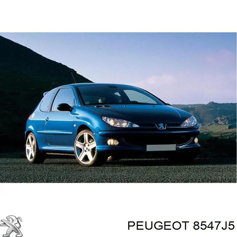 Listón embellecedor/protector, guardabarros trasero izquierdo para Peugeot 206 (2D)