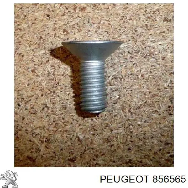 Clip de sujeción del revestimiento del guardabarros trasero Peugeot/Citroen 856565 precio, desde  EUR