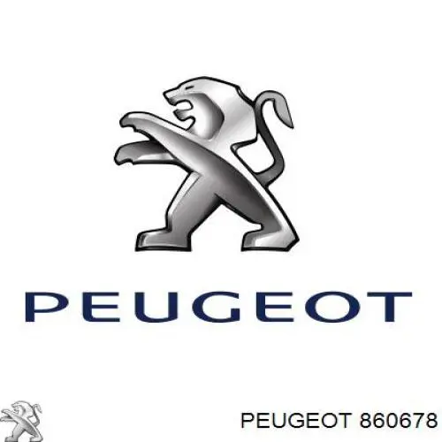 860678 Peugeot/Citroen