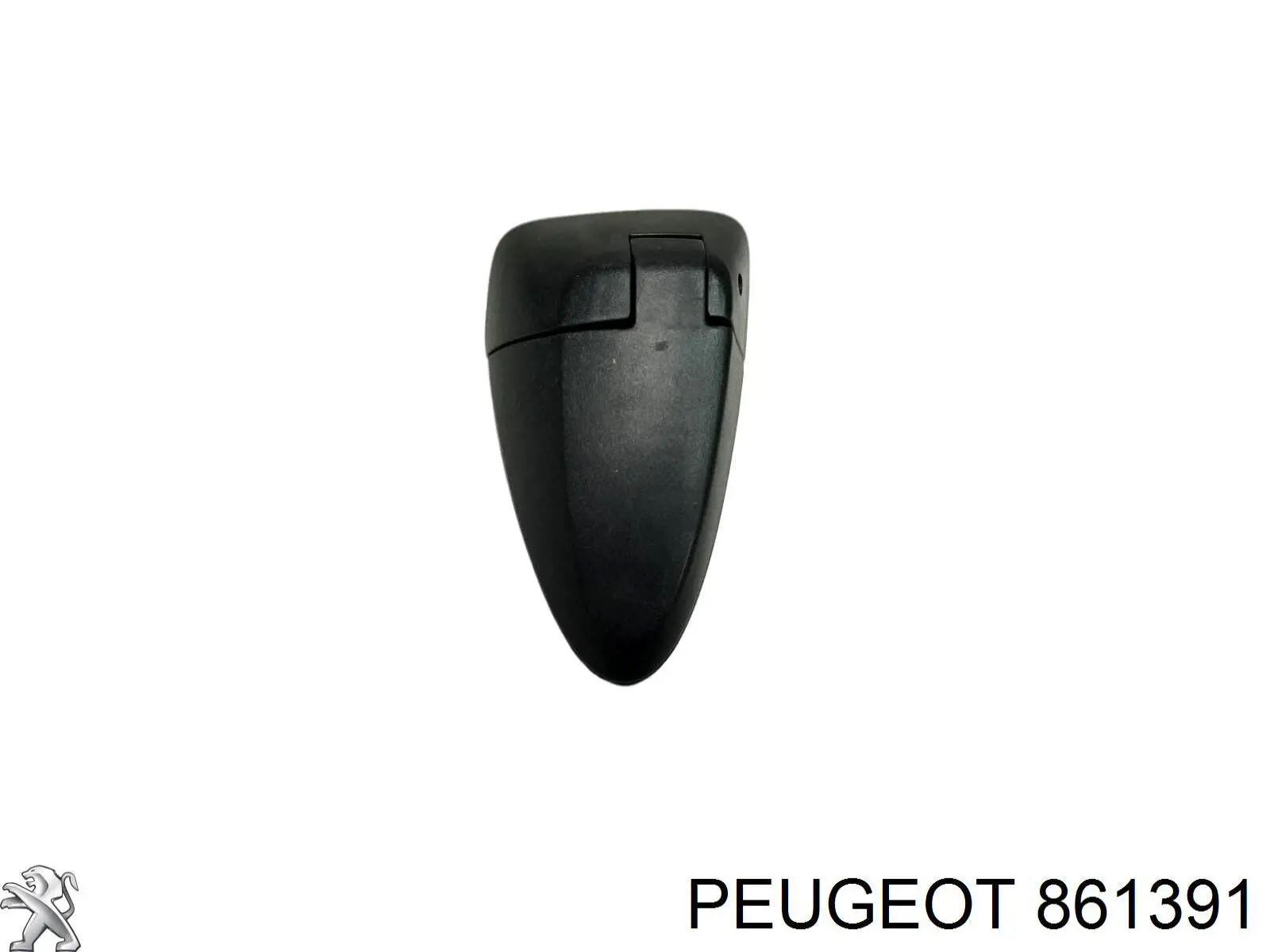 Bisagra de puerta trasera Peugeot/Citroen 861391 precio, desde 32,10 EUR