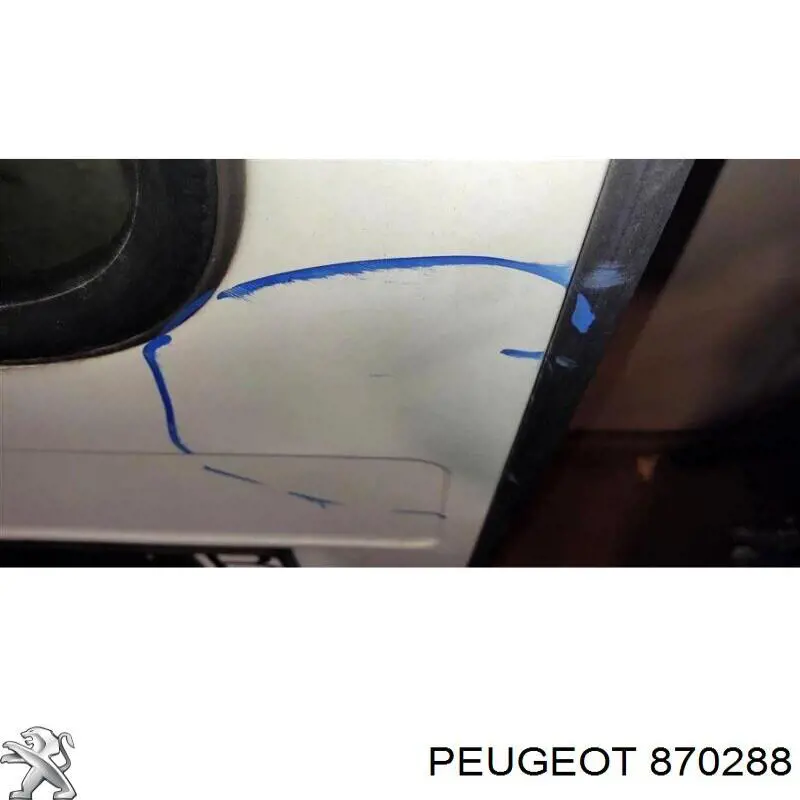 870288 Peugeot/Citroen Puerta trasera izquierda de furgón de doble hoja