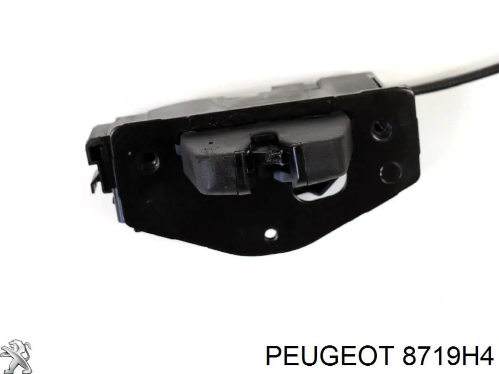 Cerradura de portón trasero Peugeot/Citroen 00008719H4 precio, desde 69,70 EUR