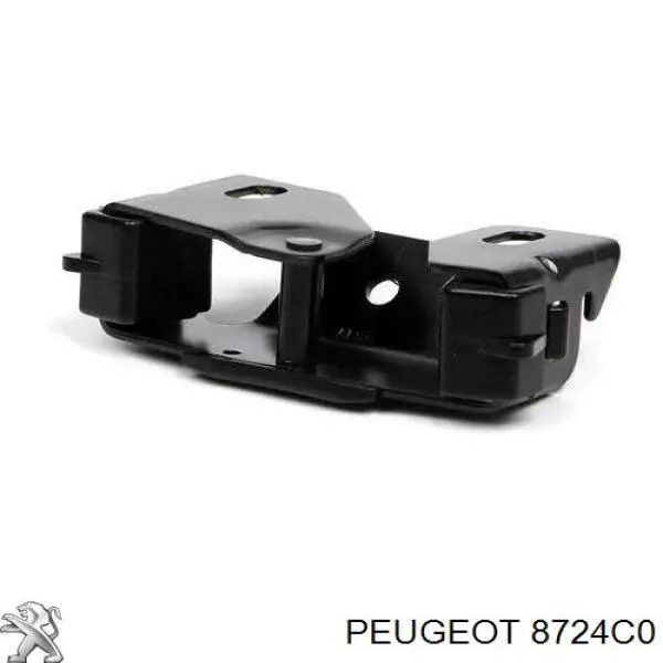 Pieza de cierre de la cerradura del portón trasero Peugeot/Citroen 8724C0 precio, desde 15,29 EUR