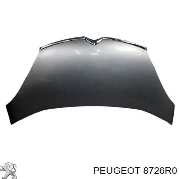 Tirador de maletero exterior Peugeot/Citroen 00008726R0
