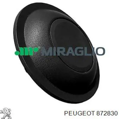 872830 Peugeot/Citroen boton bloqueo para puerta