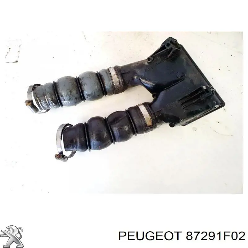 Comprar 87291F02 Peugeot/Citroen 