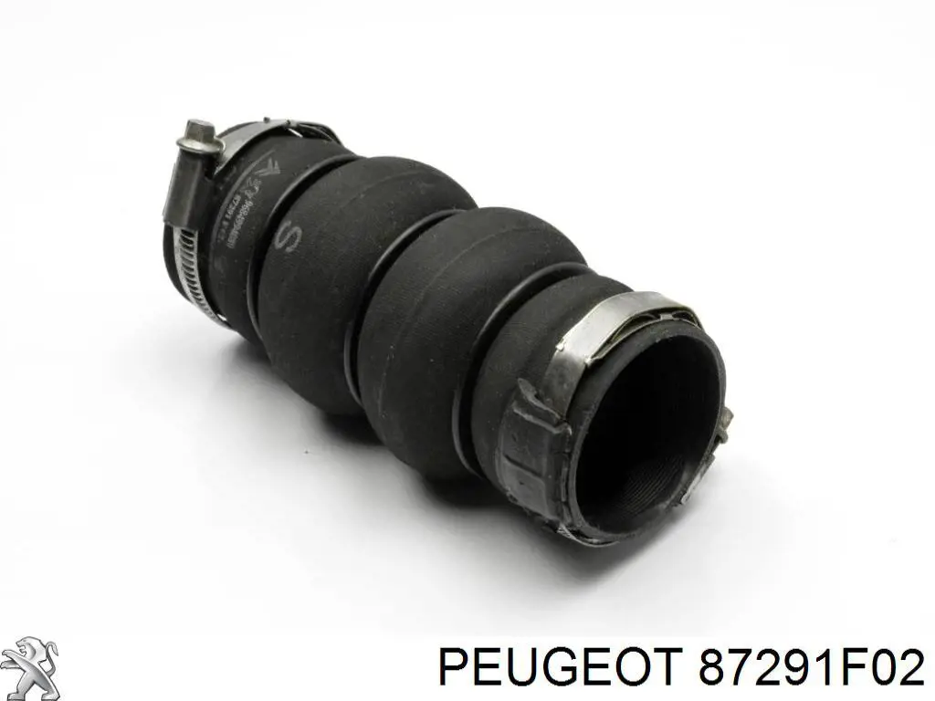 87291F02 Peugeot/Citroen 