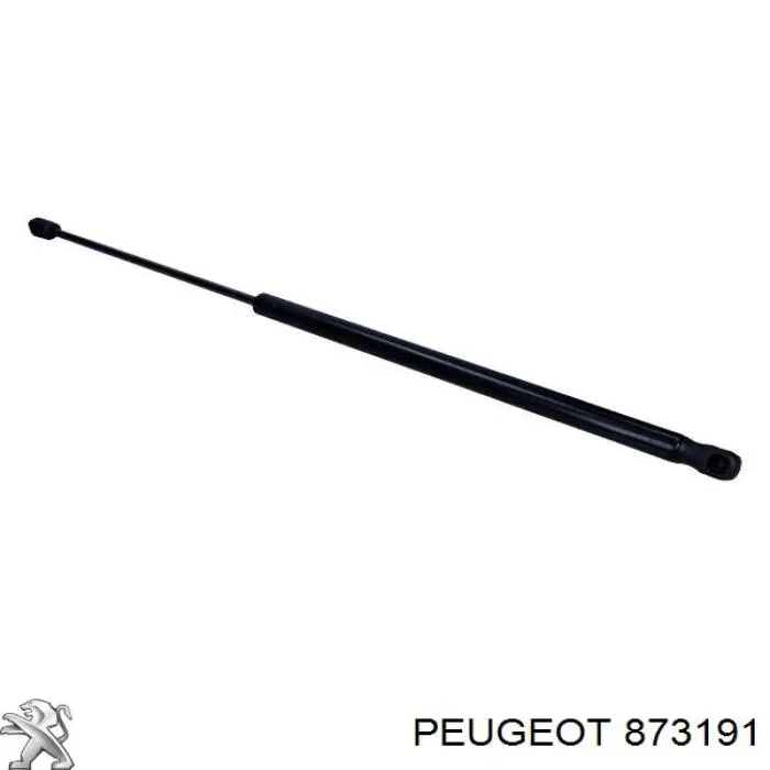 Amortiguador de porton Peugeot 106 II (1996-2003)