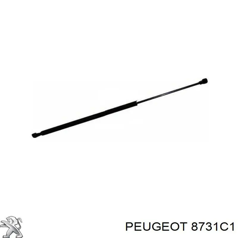 Amortiguadores maletero Peugeot 806 221
