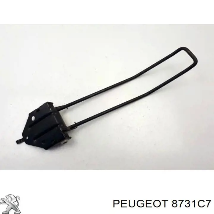 8731C7 Peugeot/Citroen asegurador puerta de maletero (furgoneta izquierdo)