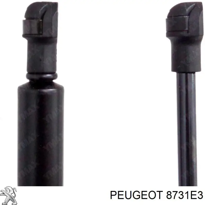 8731E3 Peugeot/Citroen amortiguador maletero
