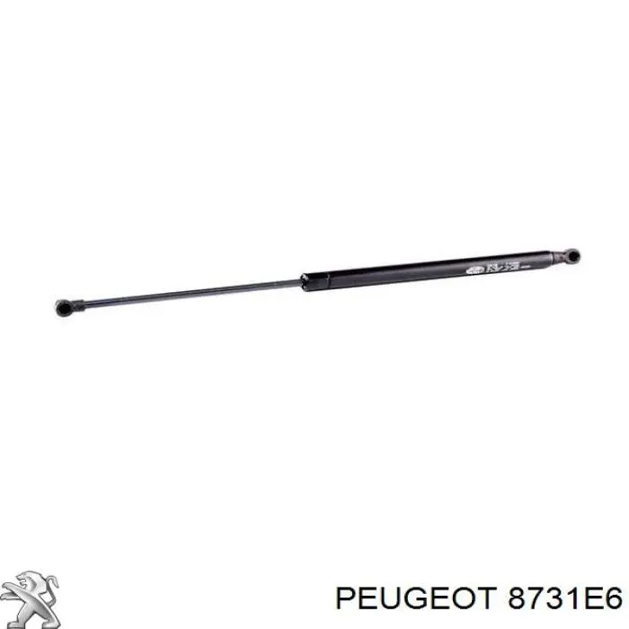 Amortiguador de maletero Peugeot 206 2A/C