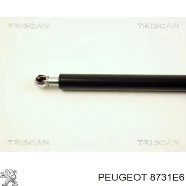 Amortiguador de maletero Peugeot 206 2A/C