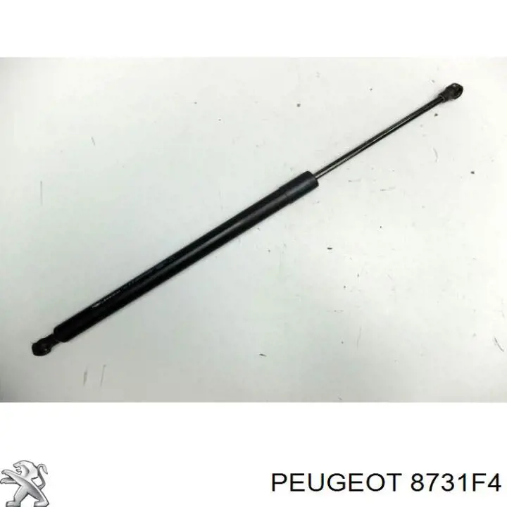 Muelle neumatico maletero Peugeot/Citroen 8731F4