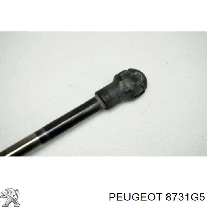 Amortiguador de maletero Peugeot/Citroen 8731G5 precio, desde 10,59 EUR