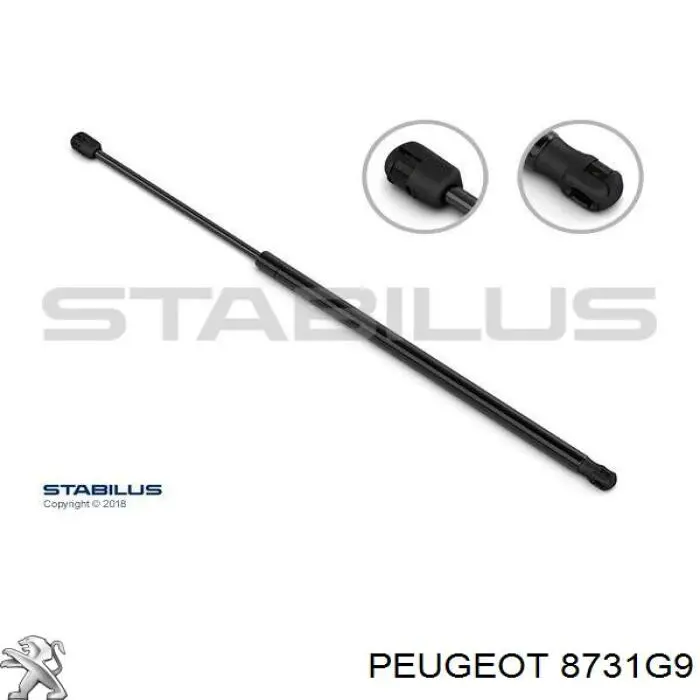 Amortiguador de maletero Peugeot/Citroen 8731G9 precio, desde 11,06 EUR
