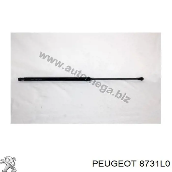 Muelle neumatico maletero Peugeot/Citroen 8731J3