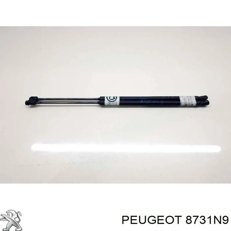8731N9 Peugeot/Citroen Amortiguador de porton