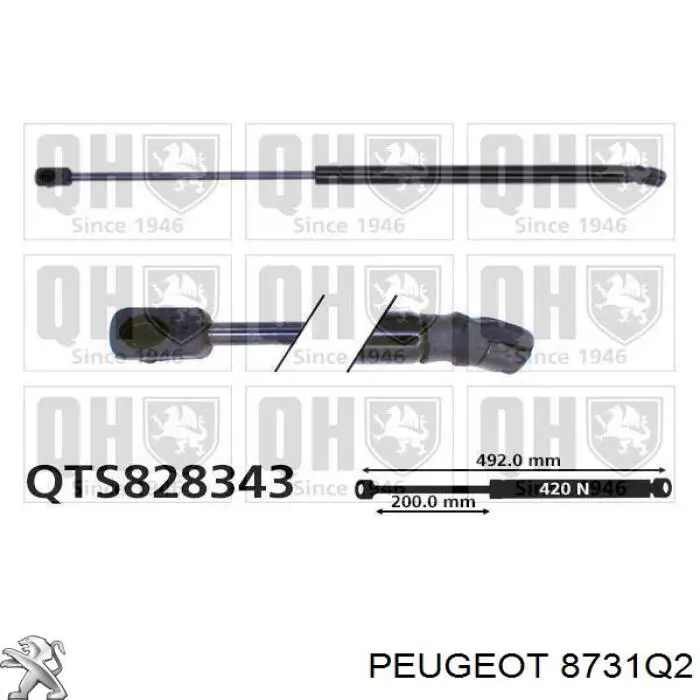 8731Q2 Peugeot/Citroen amortiguador maletero