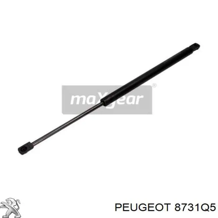 Amortiguador de vidrio de portón trasero (puerta trasera 3/5) Peugeot/Citroen 8731Q5 precio, desde 19,30 EUR