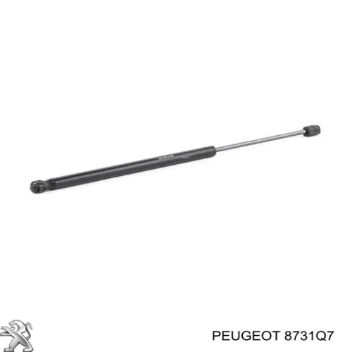 Amortiguador de maletero Peugeot/Citroen 8731Q7 precio, desde 17,17 EUR