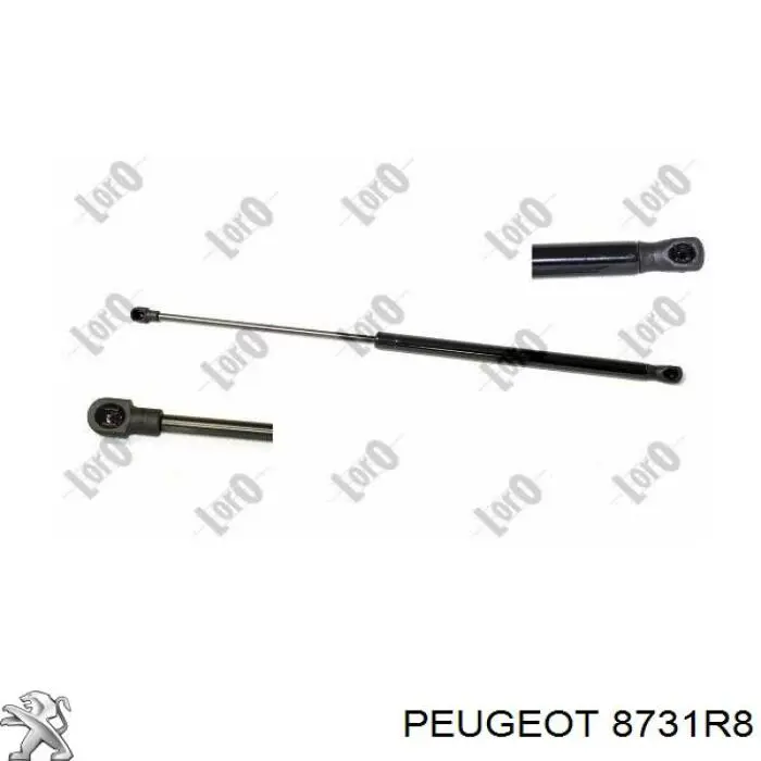 8731R8 Peugeot/Citroen amortiguador para porton trasero (3/5 puertas traseras (lisas)