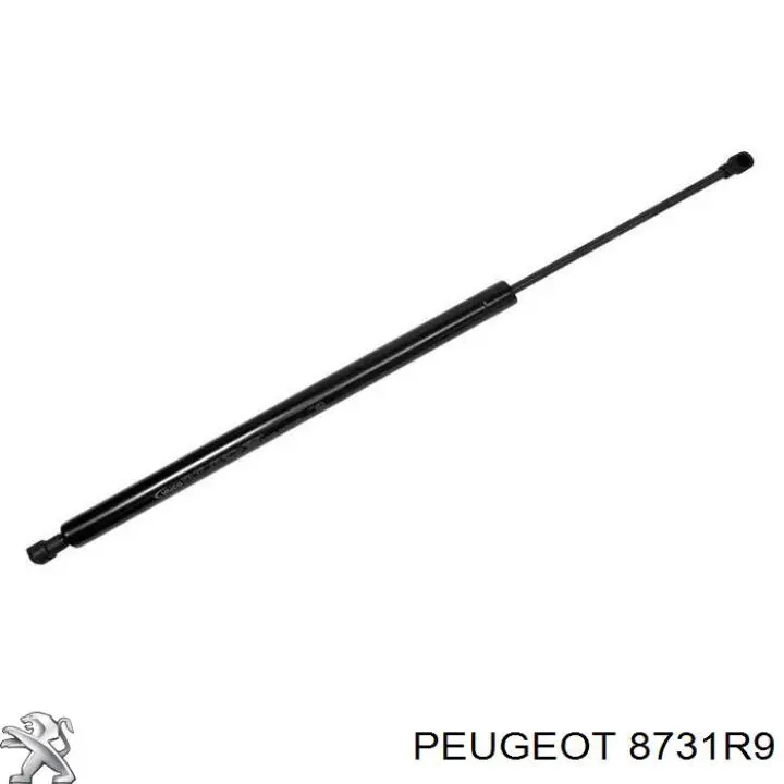Amortiguador de maletero Peugeot/Citroen 8731R9 precio, desde 16,70 EUR