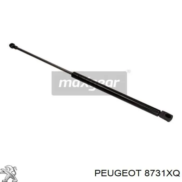 Amortiguador de maletero Doga 2023593 precio, desde 10,65 EUR