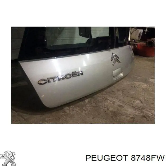Comprar 8748FW Peugeot/Citroen 
