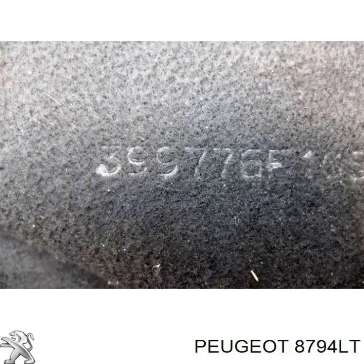 Soporte de la repisa del maletero Peugeot/Citroen 8794LT precio, desde 21,54 EUR