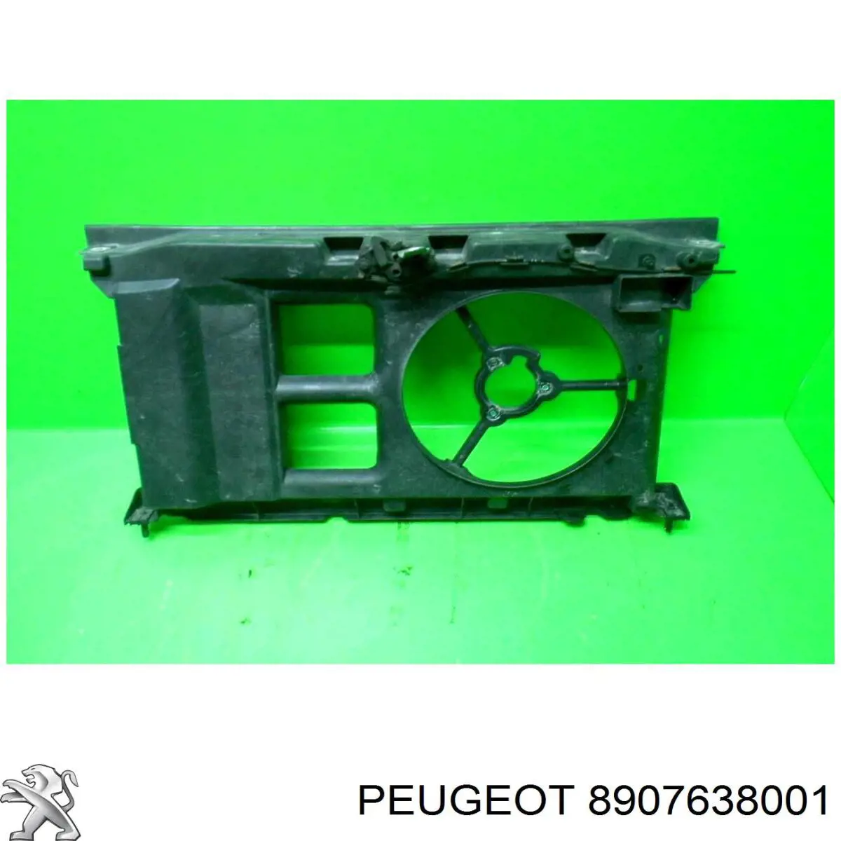  8907638001 Peugeot/Citroen