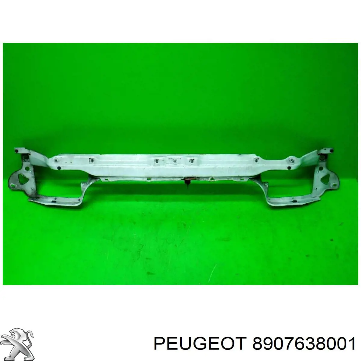 8907638001 Peugeot/Citroen 