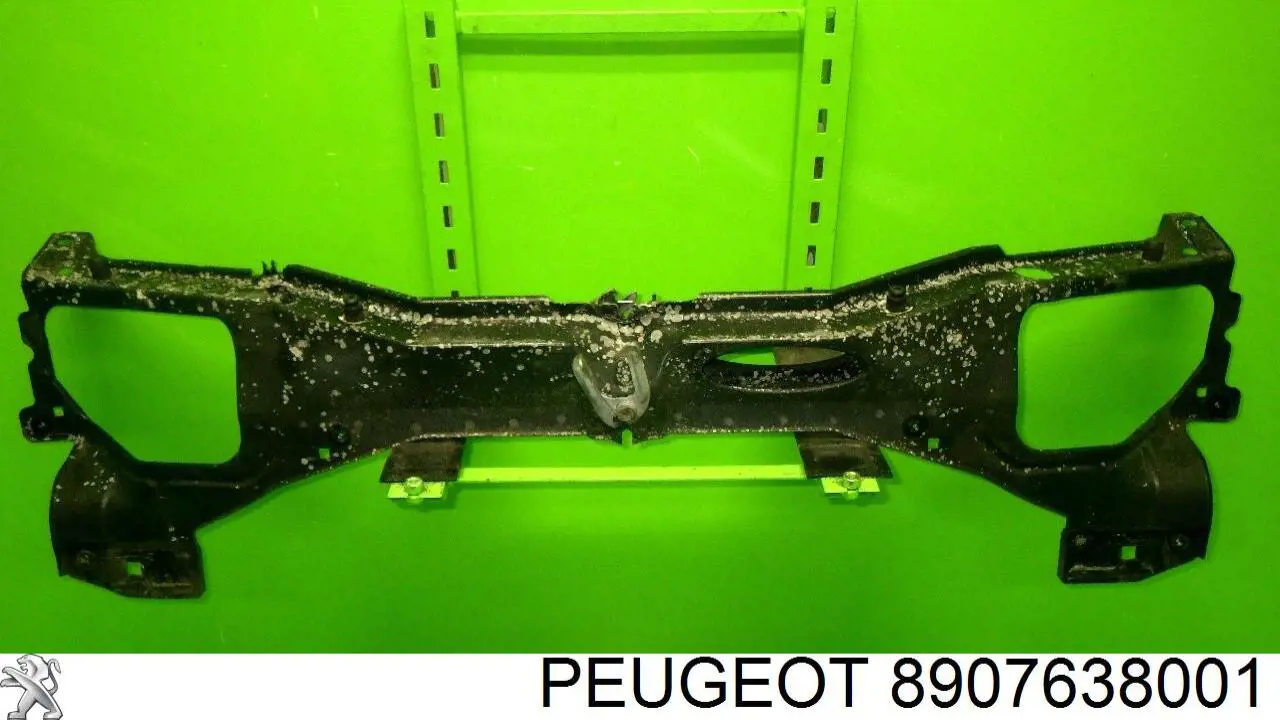  Peugeot/Citroen 8907638001