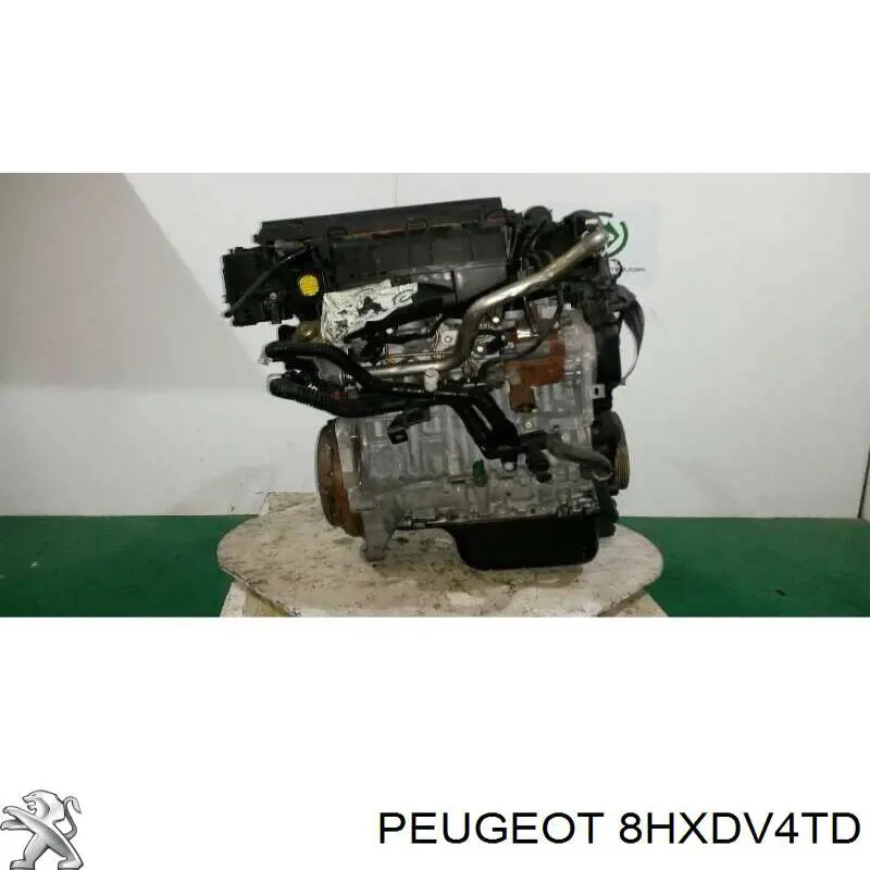 8HXDV4TD Peugeot/Citroen motor completo
