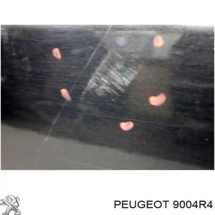 Puerta delantera derecha Peugeot/Citroen 9004R4 precio, desde 117,61 EUR