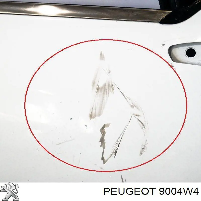 9004W4 Peugeot/Citroen puerta delantera derecha
