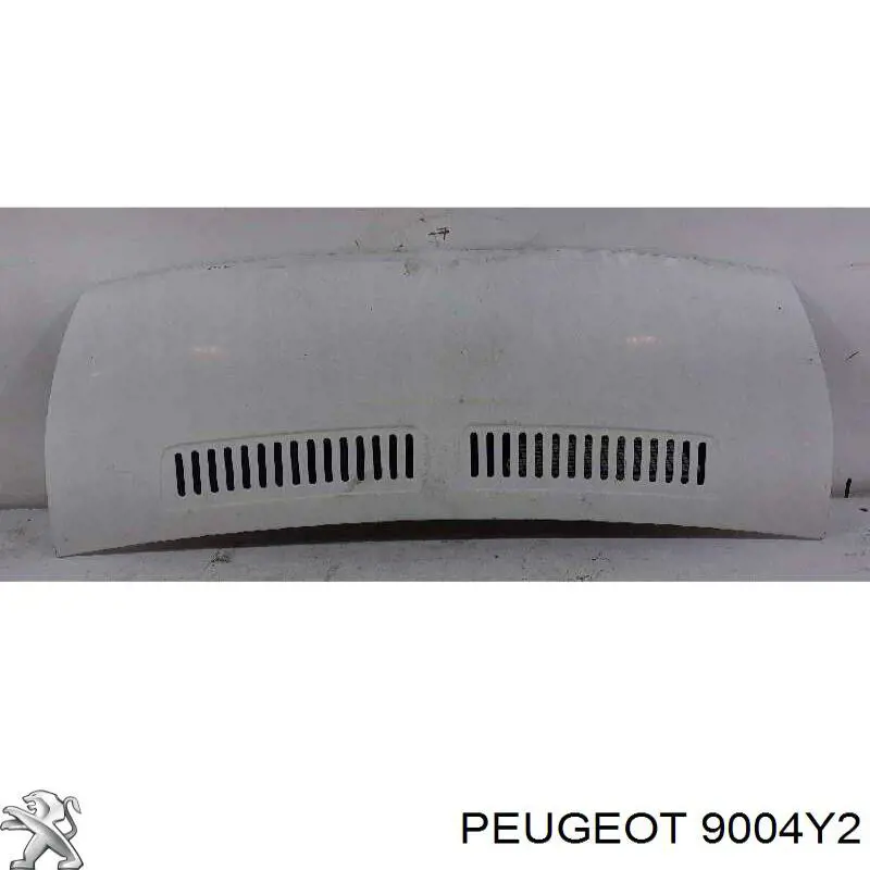 9004Y2 Peugeot/Citroen puerta delantera derecha