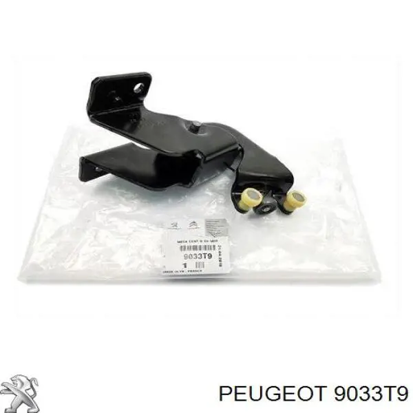 Rodillo central derecho de puerta corrediza Peugeot/Citroen 9033T9 precio, desde 44,55 EUR