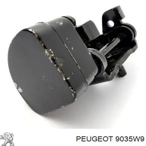 Bisagra de puerta delantera izquierda Peugeot/Citroen 9035W9 precio, desde 101,29 EUR