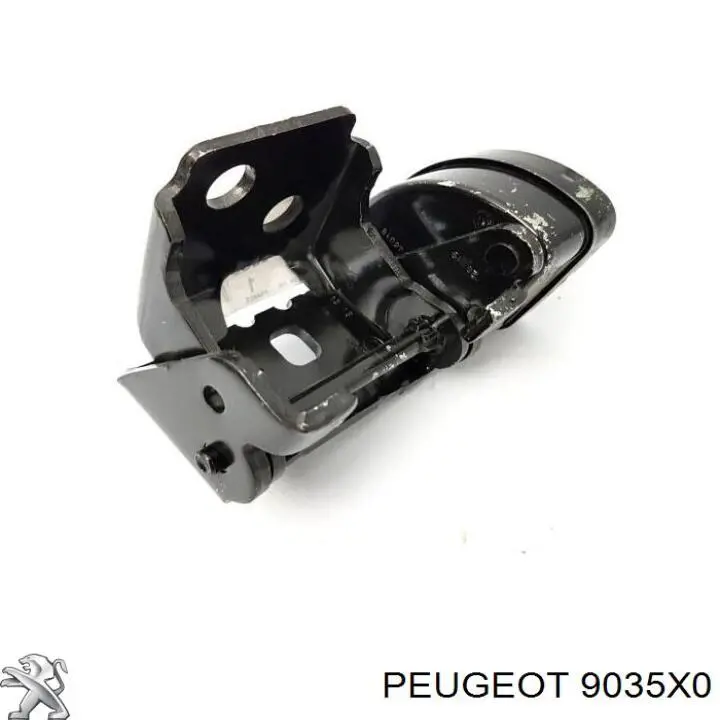 Bisagra de la puerta delantera derecha Peugeot/Citroen 9035X0 precio, desde 101,29 EUR