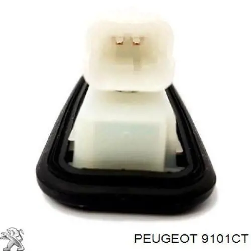 Comprar 9101CT Peugeot/Citroen Manija exterior derecha de puerta trasera batiente