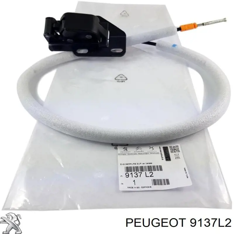 Cerradura de puerta trasera izquierda de doble hoja Peugeot/Citroen 9137L2 precio, desde 56,42 EUR