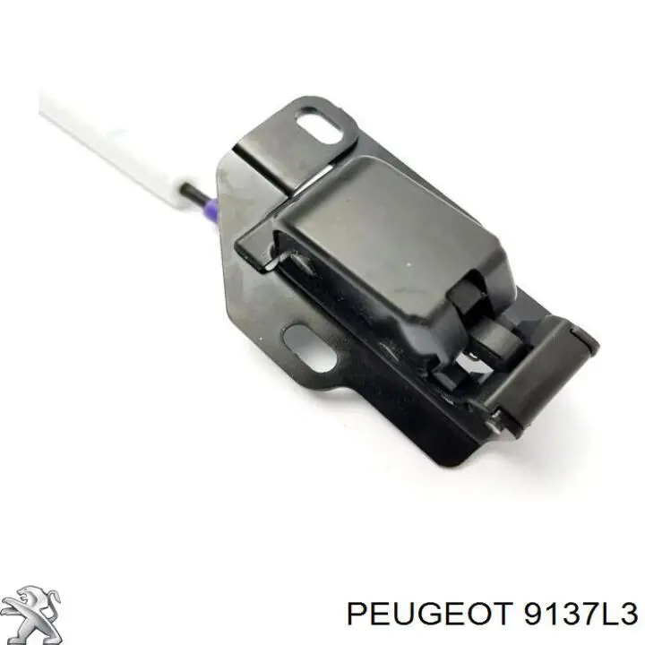 Cerradura de puerta trasera izquierda de doble hoja Peugeot/Citroen 9137L3 precio, desde 61,30 EUR