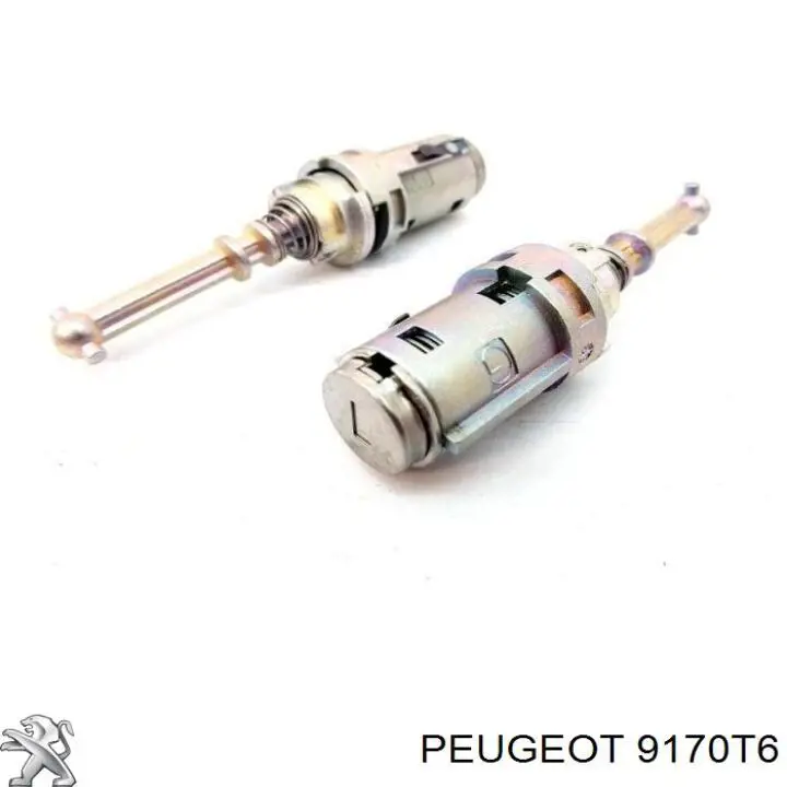 9170T6 Peugeot/Citroen 