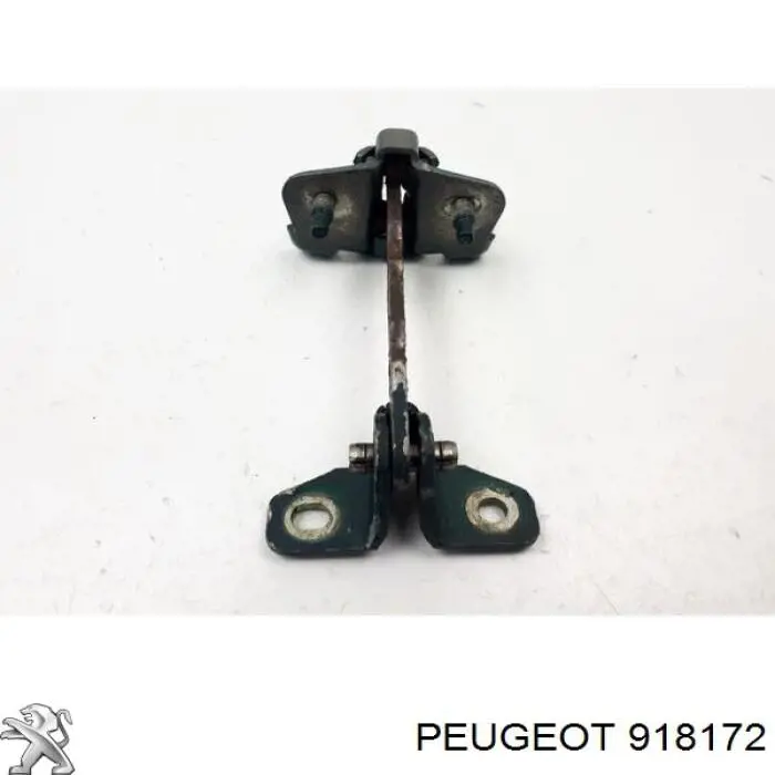918172 Peugeot/Citroen Limitador de apertura de puerta trasera