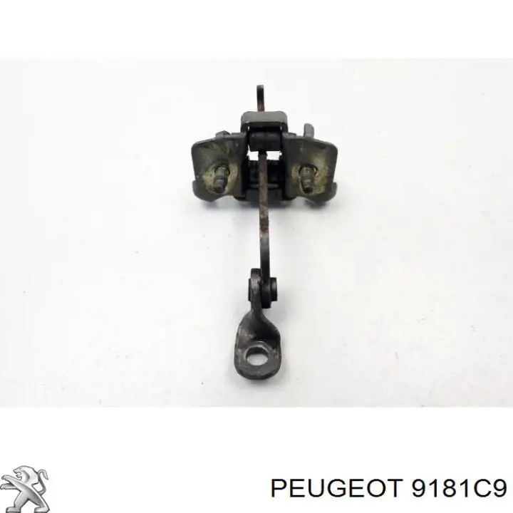 9181C9 Peugeot/Citroen asegurador puerta trasera