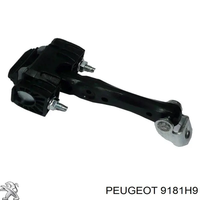 9181H9 Peugeot/Citroen Limitador de apertura de puerta delantera